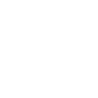 Logo BV Conseil