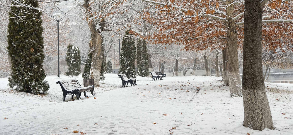 Fermeture de votre cabinet d'expertise comptable pendant les congés d'hiver